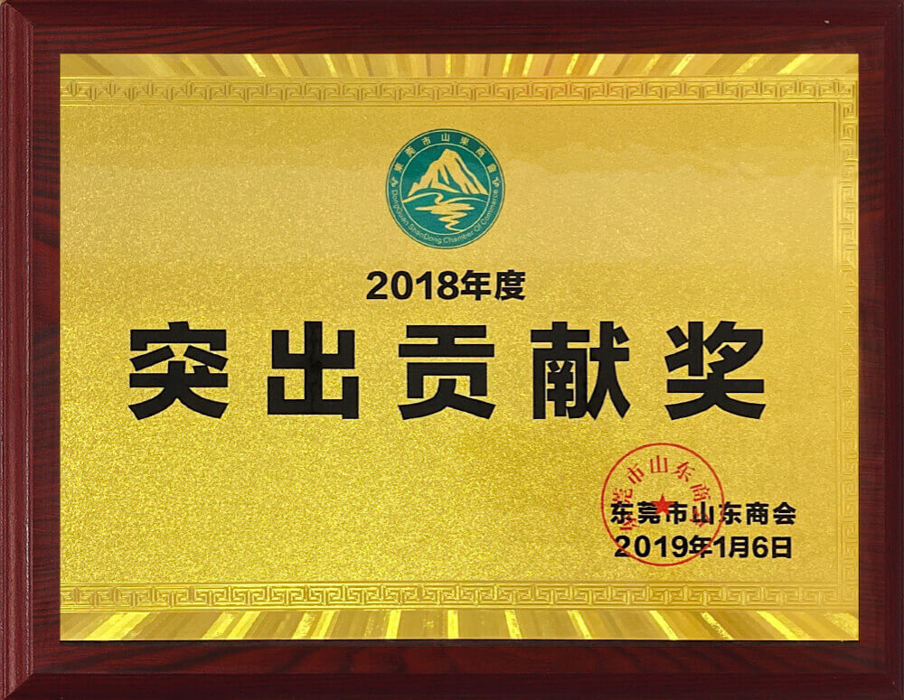 Outstanding Contribution Award
